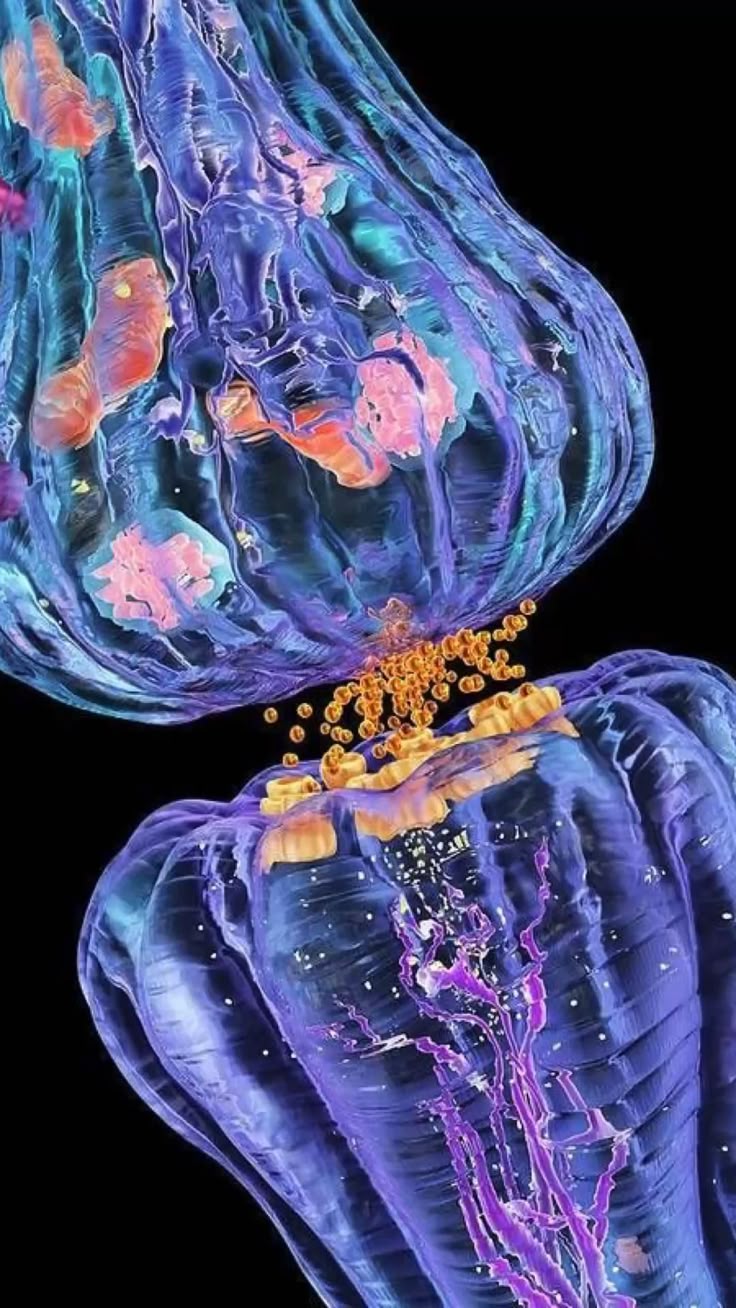 Our work in neuroscience research